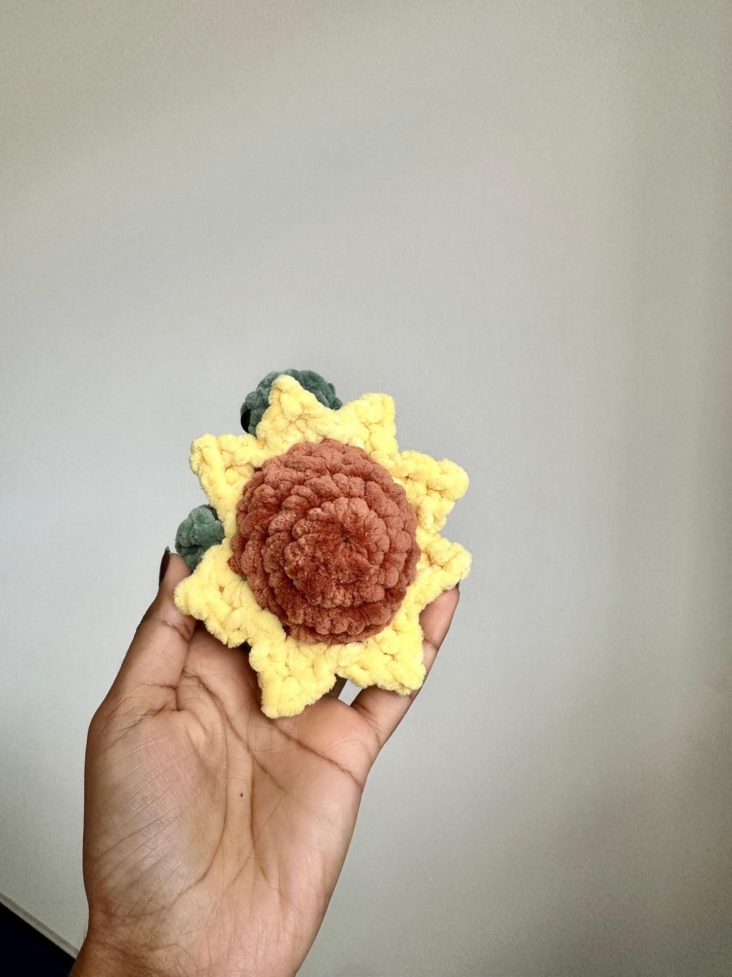 No Sew Crochet Pattern: Pocket Turtle Plushie with Video