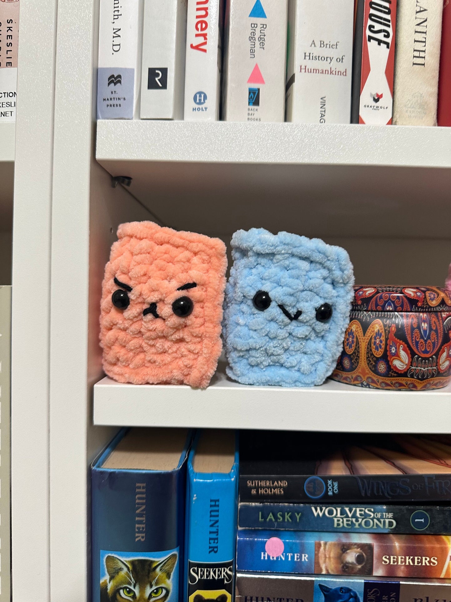 No Sew Crochet Pocket Book Plushie Pattern, with Video (PDF Pattern)